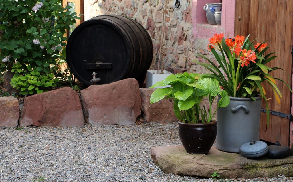 Les 3 Ceps Villa Bergholtz Exterior photo